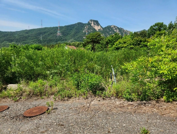 경기도 양주시 산북동 351-3 외 28필지 대지 경매 사진 20