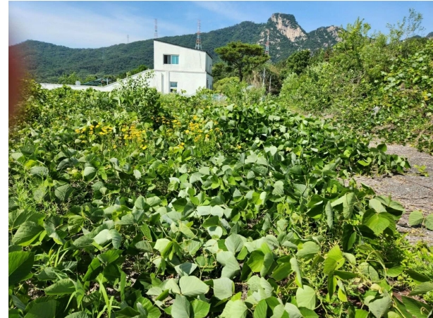 경기도 양주시 산북동 351-3 외 28필지 대지 경매 사진 3