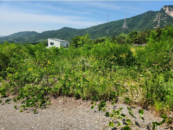 경기도 양주시 산북동 351-3 외 28필지 대지 경매 사진 22