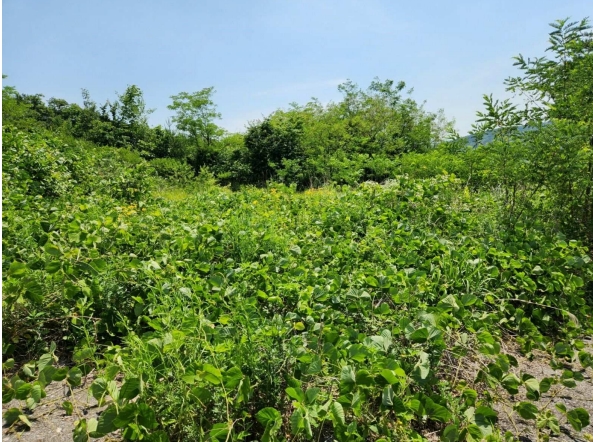 경기도 양주시 산북동 351-3 외 28필지 대지 경매 사진 26
