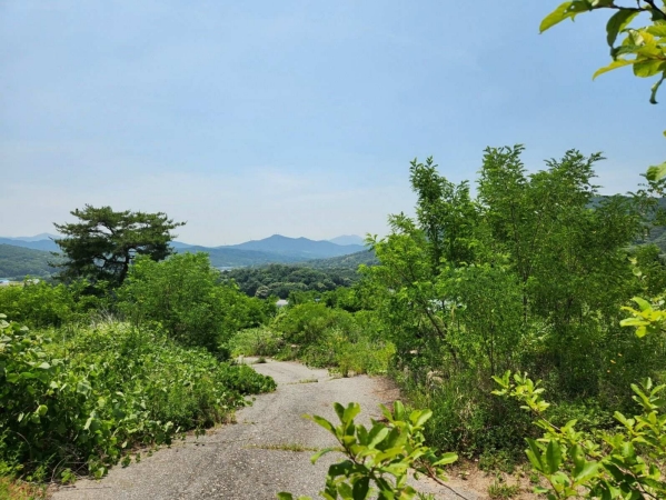경기도 양주시 산북동 351-3 외 28필지 대지 경매 사진 28