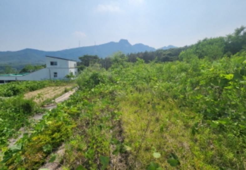 경기도 양주시 산북동 351-3 외 28필지 대지 경매 사진 30