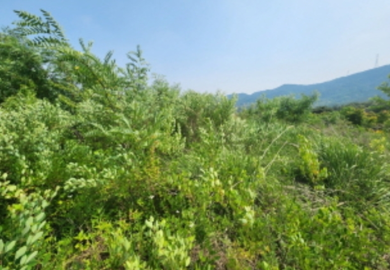 경기도 양주시 산북동 351-3 외 28필지 대지 경매 사진 32