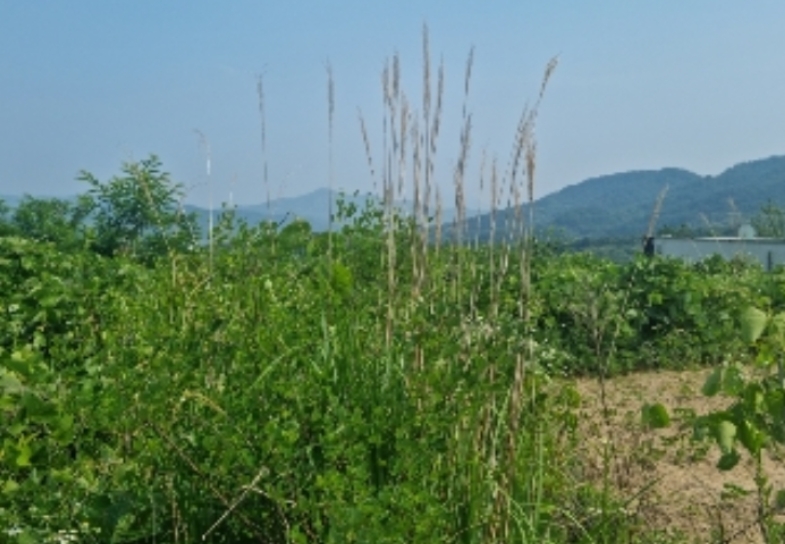 경기도 양주시 산북동 351-3 외 28필지 대지 경매 사진 34