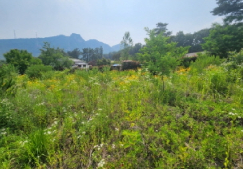 경기도 양주시 산북동 351-3 외 28필지 대지 경매 사진 37
