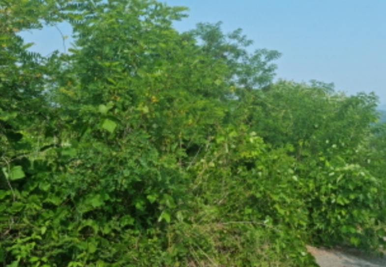 경기도 양주시 산북동 351-3 외 28필지 대지 경매 사진 42