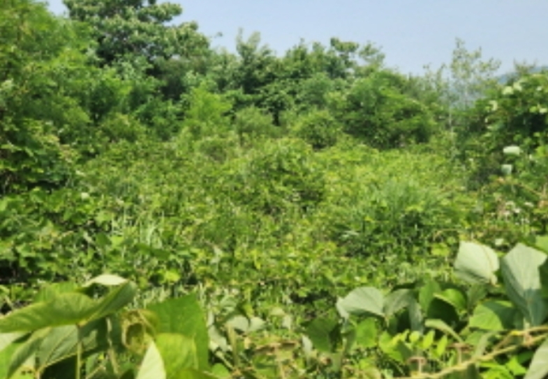 경기도 양주시 산북동 351-3 외 28필지 대지 경매 사진 45