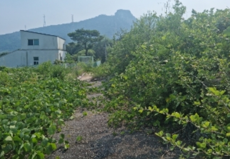 경기도 양주시 산북동 351-3 외 28필지 대지 경매 사진 48
