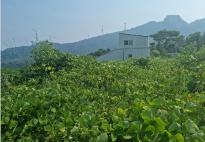 경기도 양주시 산북동 351-3 외 28필지 대지 경매 사진 54