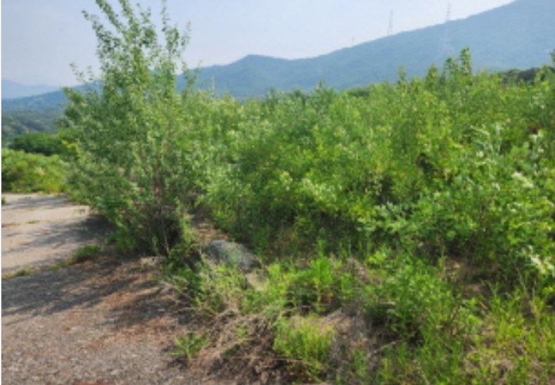경기도 양주시 산북동 351-3 외 28필지 대지 경매 사진 56