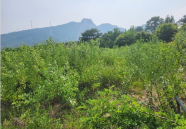 경기도 양주시 산북동 351-3 외 28필지 대지 경매 사진 57