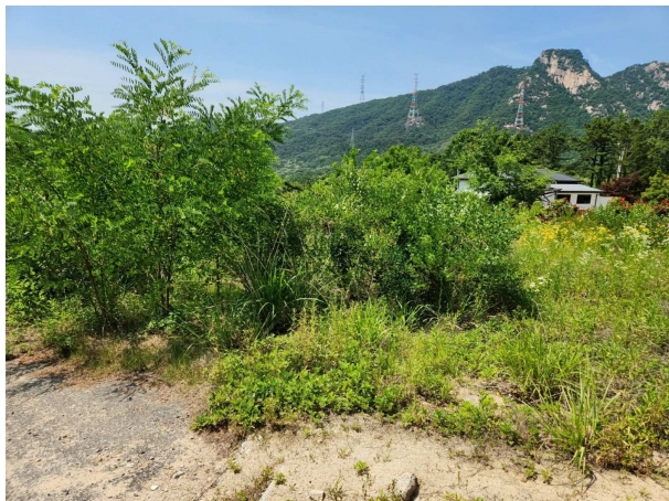 경기도 양주시 산북동 351-3 외 28필지 대지 경매 사진 7