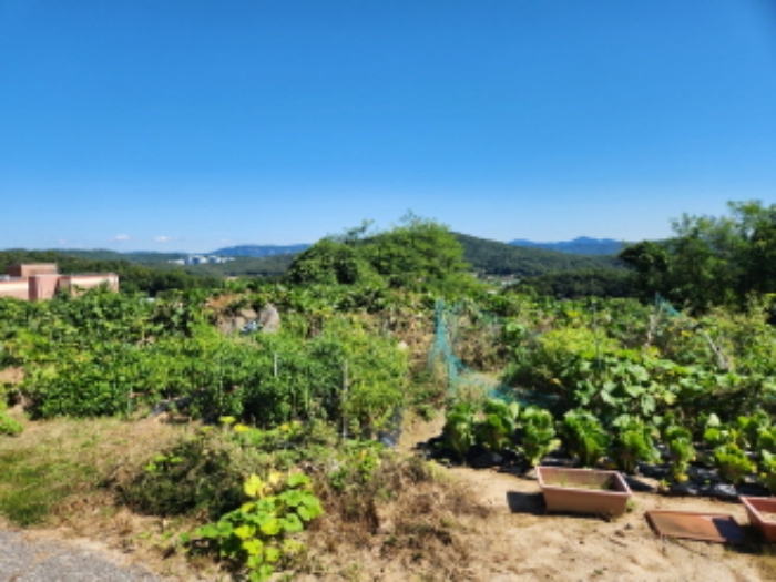 경기도 양주시 산북동 351-3 외 28필지 대지 경매 사진 73