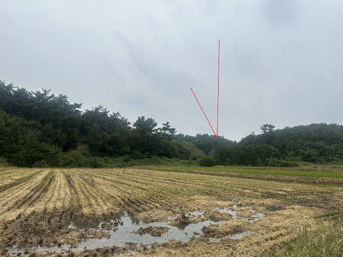 충청남도 당진시 대호지면 송전리 산81-2 임야 경매 사진 17