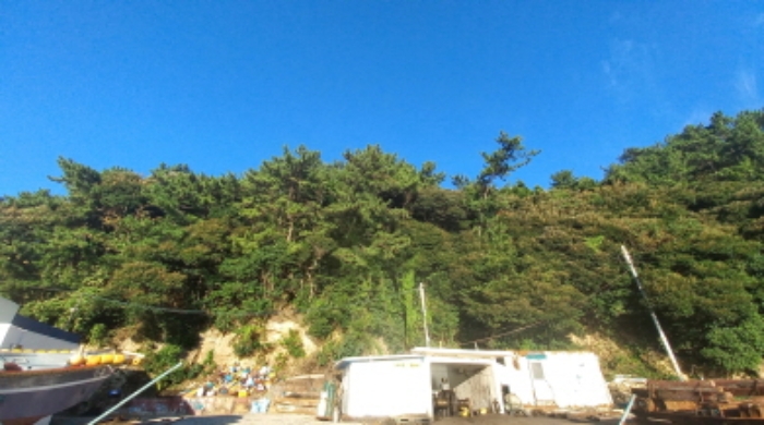 경상남도 통영시 욕지면 동항리 산76-1 임야 경매 사진 3