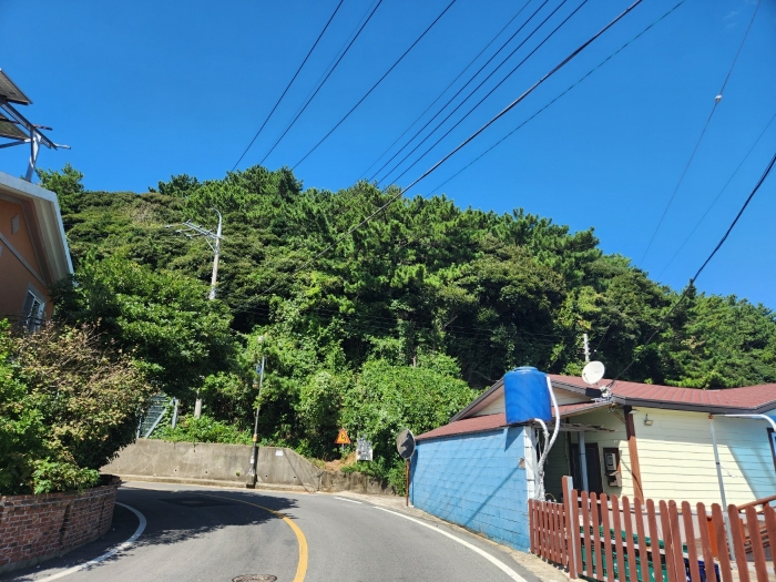 경상남도 통영시 욕지면 동항리 산76-1 임야 경매 사진 5