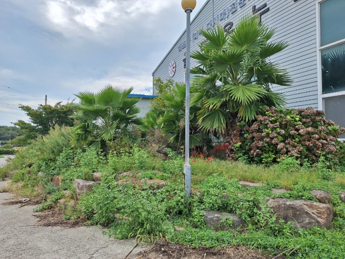 전라남도 고흥군 금산면 오천리 567-1 외 1필지 공장 경매 사진 90