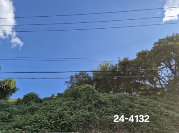 부산광역시 북구 만덕동 861-6 대지 경매 사진 16