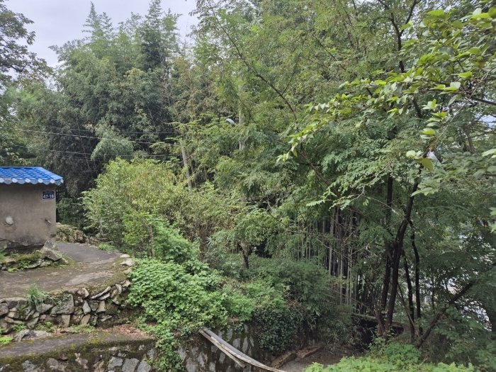 부산광역시 북구 만덕동 861-6 대지 경매 사진 19