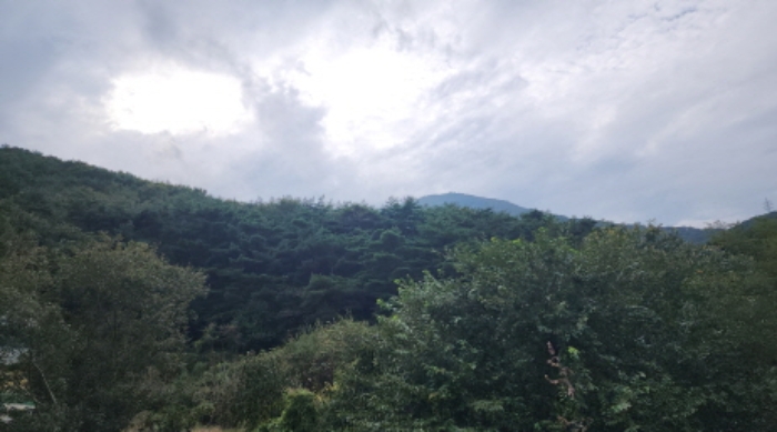 울산광역시 울주군 범서읍 척과리 산94 임야 경매 사진 9