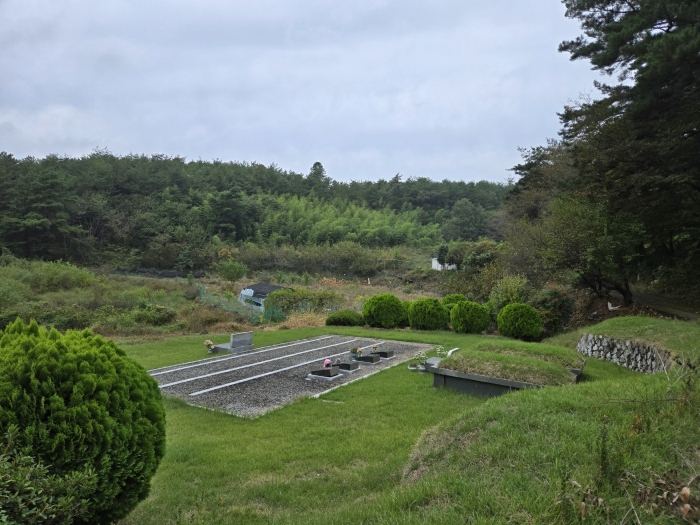 경상남도 진주시 수곡면 창촌리 650 과수원 경매 사진 19