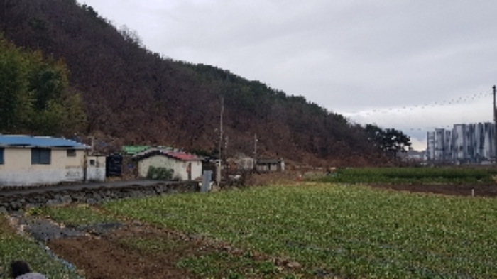전라남도 광양시 성황동 산63-3 임야 경매 사진 2
