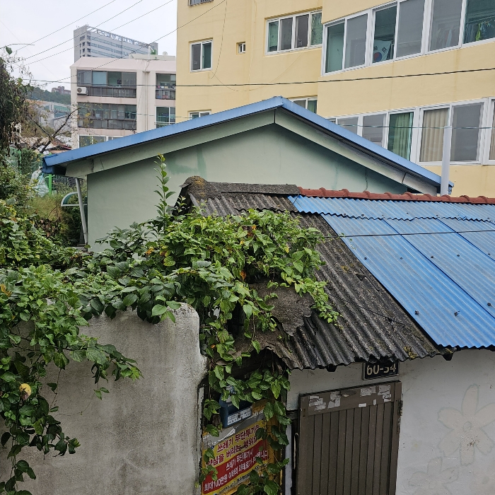 부산광역시 남구 용당동 254-5 주택 경매 사진 22