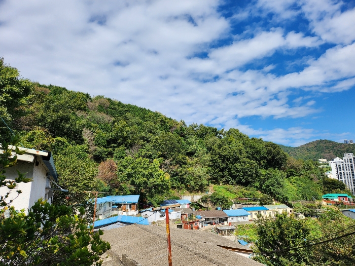 부산광역시 서구 암남동 산61-3 외 2필지 임야 경매 사진 10