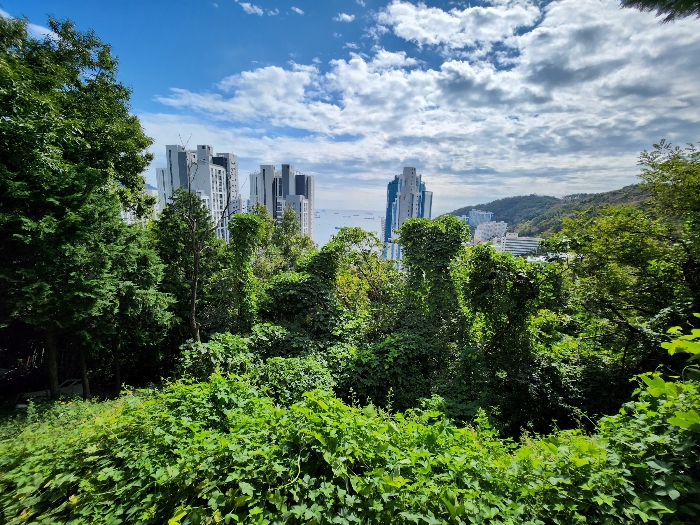 부산광역시 서구 암남동 산61-3 외 2필지 임야 경매 사진 8