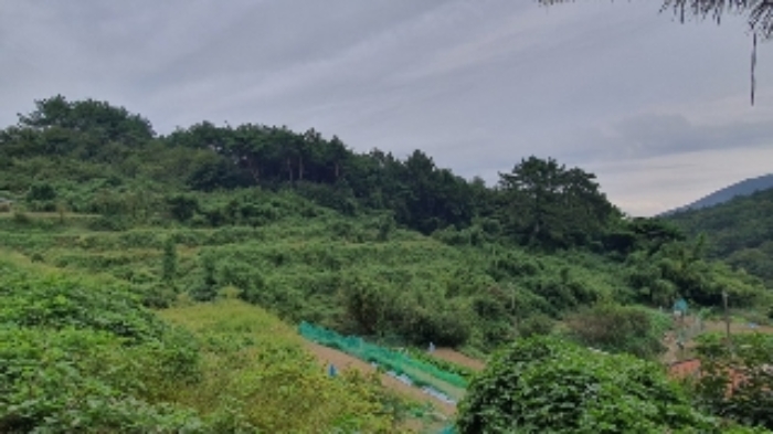 경상남도 창원시 마산합포구 진전면 시락리 700 답 경매 사진 10