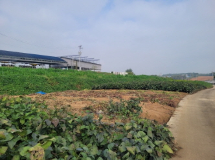 경기도 이천시 부발읍 수정리 108 전 경매 사진 11
