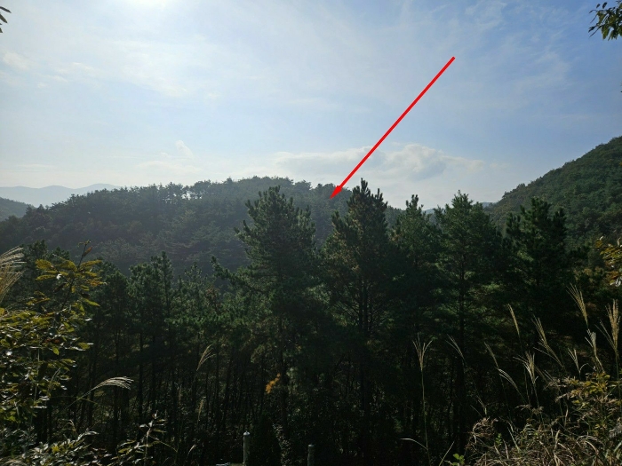 울산광역시 울주군 두동면 봉계리 산177-1 임야 경매 사진 9