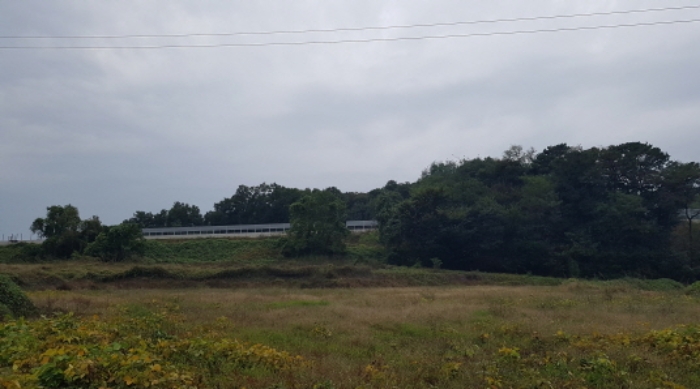 경기도 안성시 보개면 적가리 20 외 6필지 전 경매 사진 11