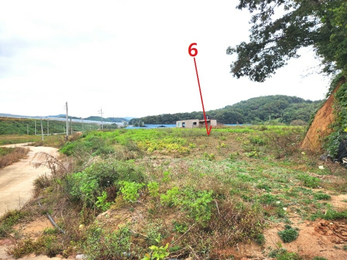 경기도 안성시 보개면 적가리 20 외 6필지 전 경매 사진 19