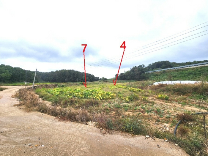 경기도 안성시 보개면 적가리 20 외 6필지 전 경매 사진 24