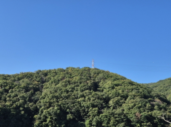 울산광역시 북구 무룡동 산150 임야 경매 사진 12