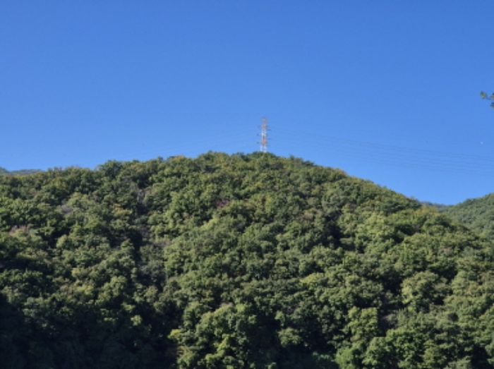 울산광역시 북구 무룡동 산150 임야 경매 사진 13