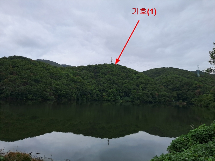 울산광역시 북구 무룡동 산150 임야 경매 사진 14