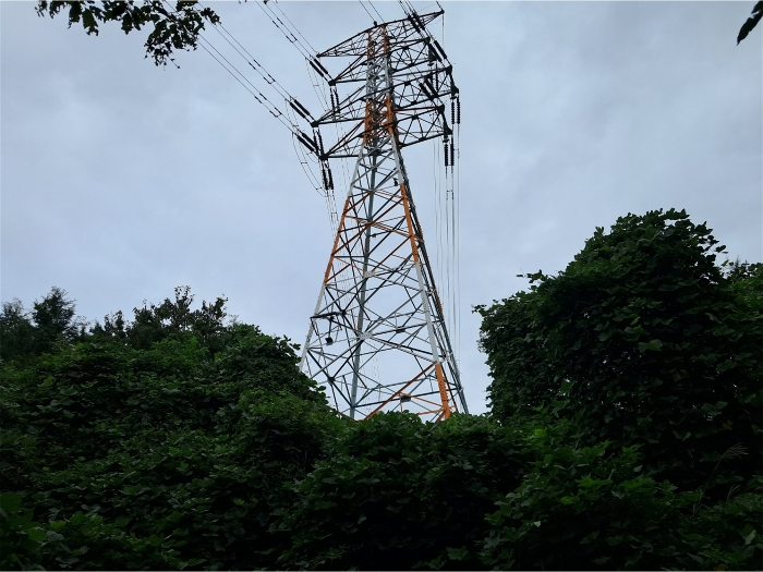 울산광역시 북구 무룡동 산150 임야 경매 사진 18