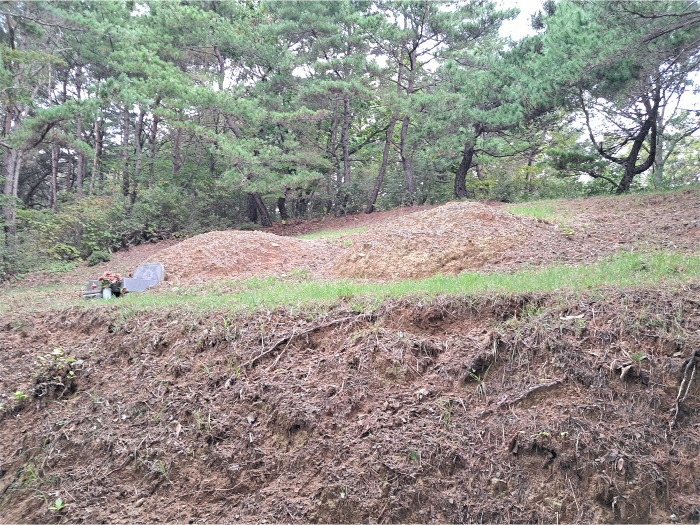 울산광역시 북구 무룡동 산150 임야 경매 사진 19