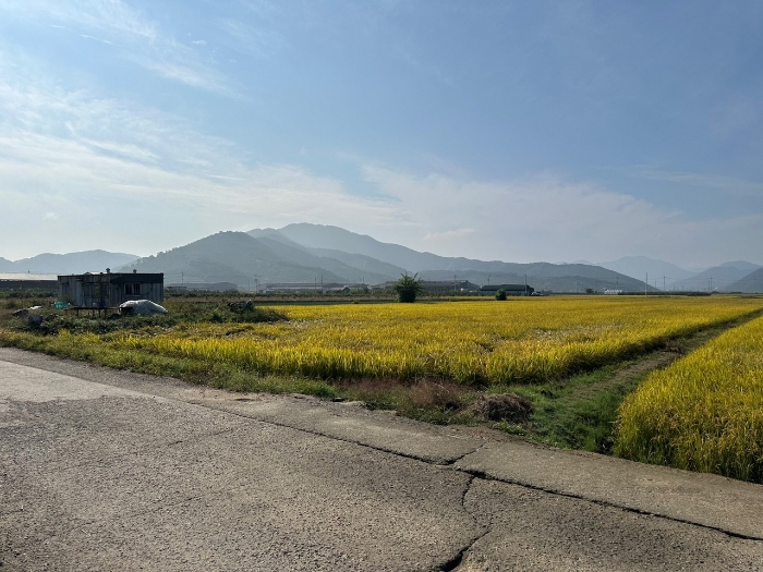 경상남도 창원시 의창구 북면 신촌리 1502-8 답 경매 사진 11