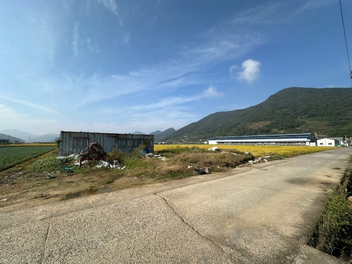 경상남도 창원시 의창구 북면 신촌리 1502-8 답 경매 사진 13