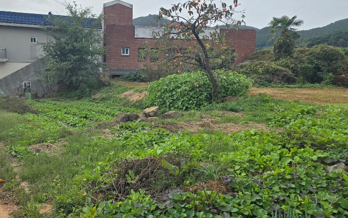 경상남도 남해군 고현면 대사리 897 외 2필지 전 경매 사진 5