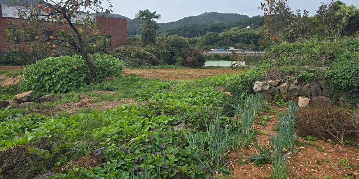 경상남도 남해군 고현면 대사리 897 외 2필지 전 경매 사진 6