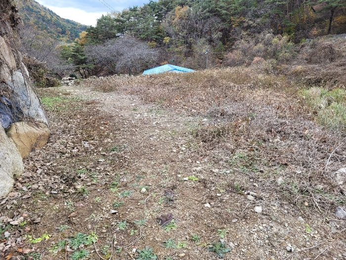 경상남도 밀양시 삼랑진읍 행곡리 산163 외 2필지 임야 경매 사진 19