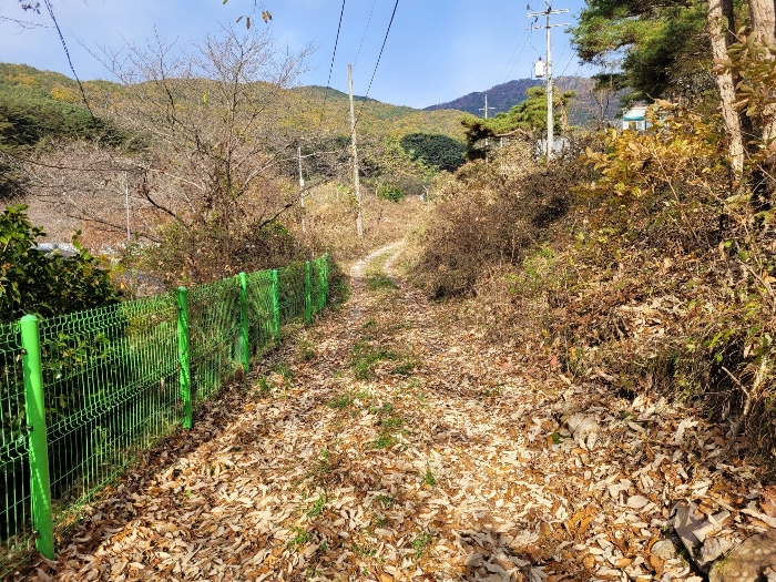 경상남도 밀양시 삼랑진읍 행곡리 산163 외 2필지 임야 경매 사진 20