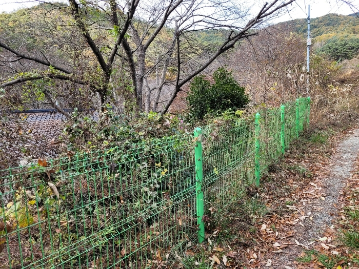 경상남도 밀양시 삼랑진읍 행곡리 산163 외 2필지 임야 경매 사진 5