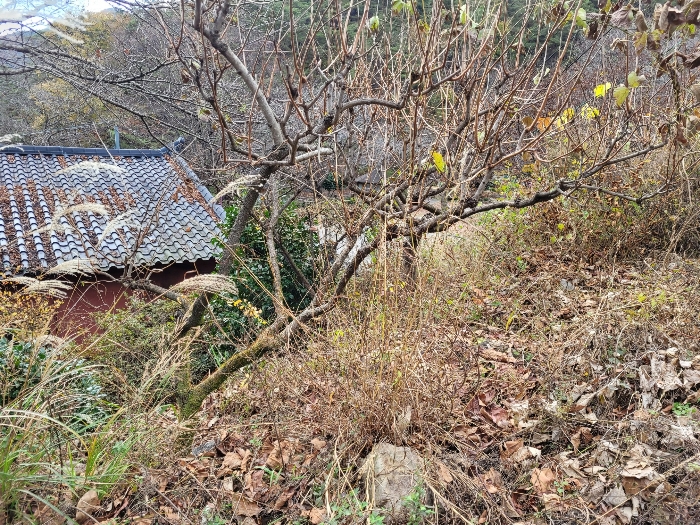 경상남도 밀양시 삼랑진읍 행곡리 산163 외 2필지 임야 경매 사진 7