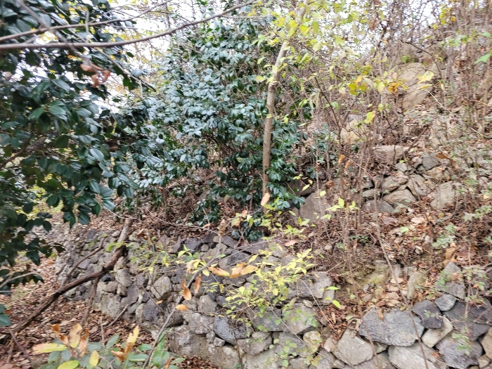 경상남도 밀양시 삼랑진읍 행곡리 산163 외 2필지 임야 경매 사진 8