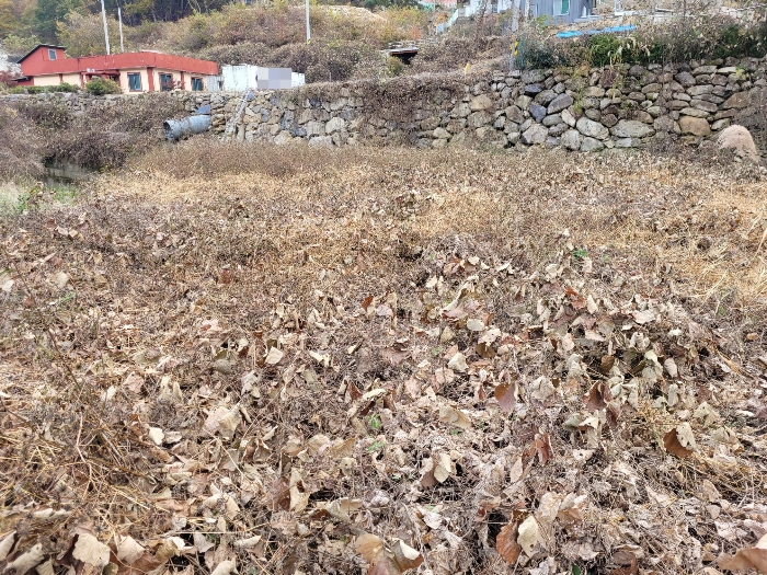 경상남도 밀양시 삼랑진읍 행곡리 산163 외 2필지 임야 경매 사진 10